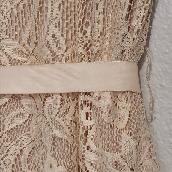Candalite Women Champagne Beige lace Sheath Dress vented bottom Maxi Sz. 1X - Picture 5 of 11